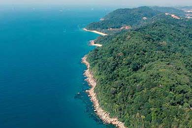 政府资金投入助力威尔士青训体系建设，威尔士2022